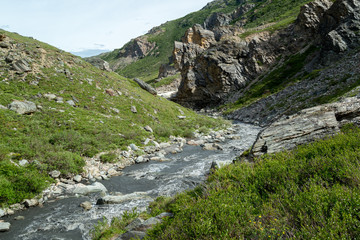 Denali National Park