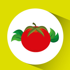 vegetables and fruits