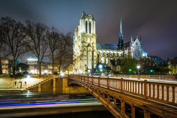 The Cathédrale Notre-Dame de Paris and Pont au Double at night,