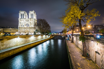 The Cathédrale Notre-Dame de Paris and the Seine at night, in P