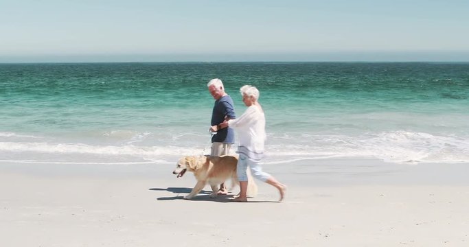 Old retired couple with dog on the beach