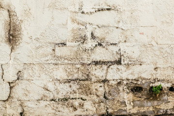 grunge concrete wall