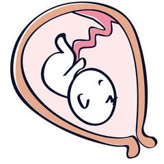 子宮の中の赤ちゃん　胎児