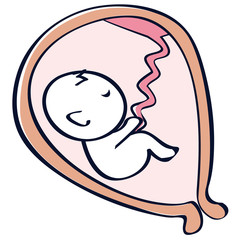 子宮の中の赤ちゃん　胎児　逆子