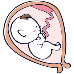 子宮の中の赤ちゃん　胎児　臨月　逆子
