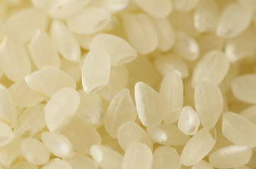 Japanese rice image