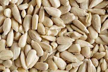 Sunflower seeds closeup