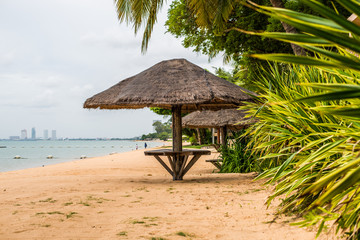 Thatched umbrellas on Beach,coconut tree plantation