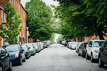 A tree-lined street in Federal Hill, Baltimore, Maryland.