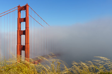 Low fog at Golden Gate Bridge, San Francisco