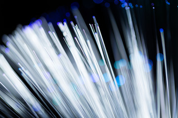 Optical fiber