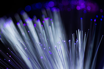 Optical fiber cable