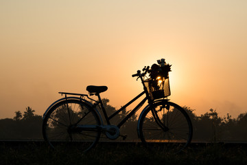 Naklejka premium old Bicycle and flower on the sunrise