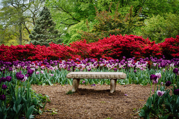 Bench and gardens at Sherwood Gardens Park, in Guilford, Baltimo