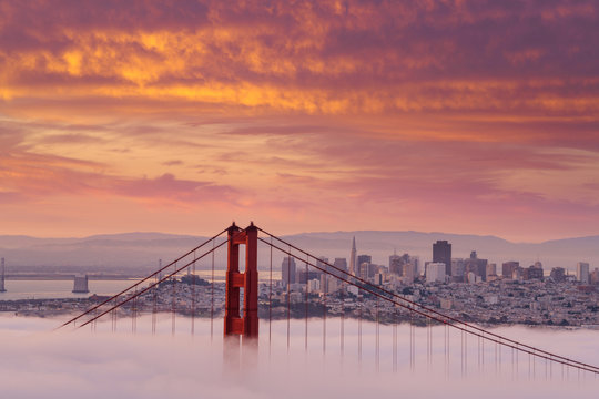 Early morning low fog at Golden Gate Bridge