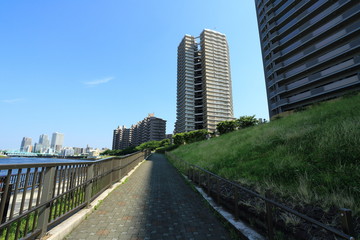 隅田川テラスと高層マンション