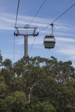Skyrail gondola above treetops of rainforest canopy, Cairns, Far North Queensland.