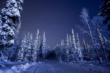 Finland, Lapland, Kittila, Levi, Country road in winter at night
