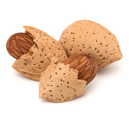 Almond nut in shell and shelled isolated on white background clo