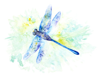 Bright Watercolor Illustration of Colorfull Dragonfly. Hand Drawn Image of Insect Isolated on White Background.