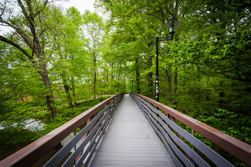 Obraz premium Bridge through a forested area at Towson University, in Towson,
