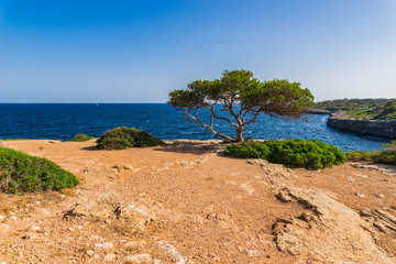 Spain Mediterranean Sea Coastline of Majorca Balearic Islands