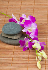 Orchid and spa-stones on wooden background