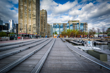 Buildings at the Harbourfront, in Toronto, Ontario.