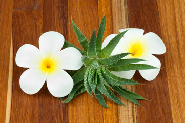 Aloe plant with flowers on wooden background