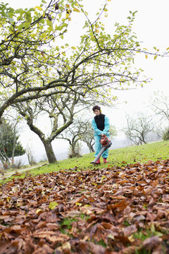 Sweden, Skane, Degeberga, Woman using leaf blower