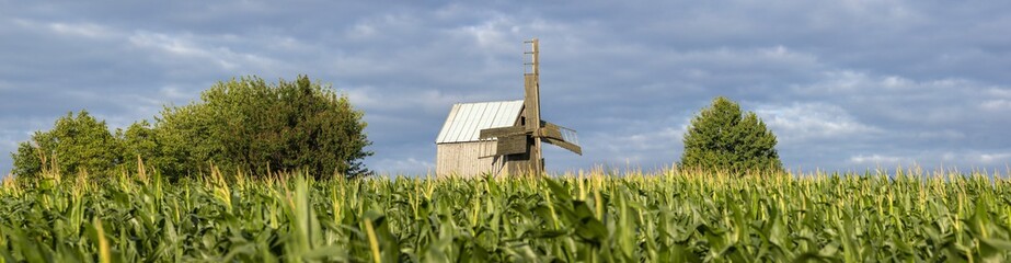 panorama with old mill and corn field © sergejson