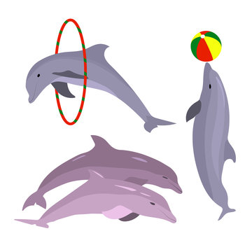 Playful dolphins. Dolphin set hand drawn. Sea Animal