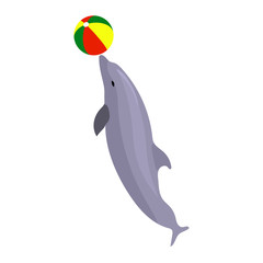 Obraz premium Vector illustration jumping dolphin playing with ball isolated on white background. Dolphin icon. Beach summer ball. Sea creature