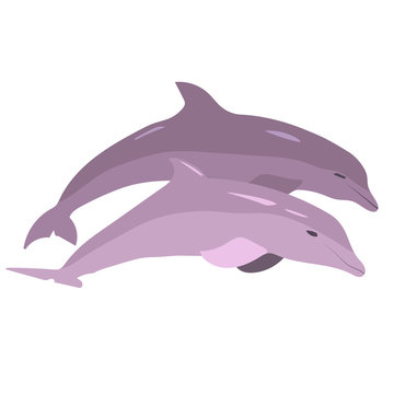 Vector image of dolphins jumping out of the water on a white background
