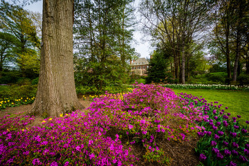 Flowers and trees at Sherwood Gardens Park, in Baltimore, Maryla