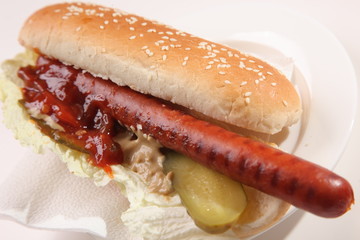 sausage in bun with sauce and pickles