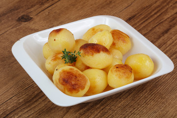 Golden backed potato