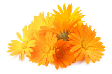 Calendula officinalis flowers, clipping paths