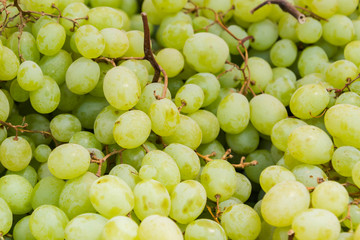 Ripe delicious grapes in the market on the counter