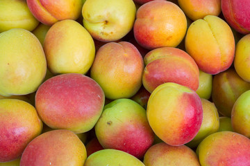 Delicious fruits at the market stall