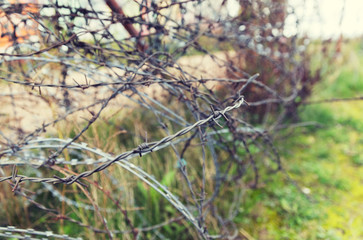 barb wire fence over gray sky