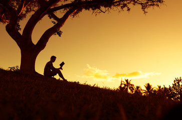 Man reading a book in the park. 