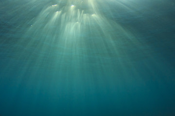 Fototapeta na wymiar Underwater blue ocean background with sunlight in sea