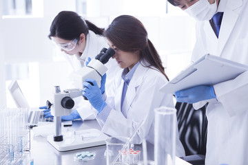 Researchers are analyzing a microscope