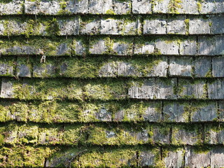 Rough weathered timber roof shingles overgrown with moss, Germany 2016