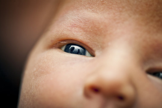 Finland, Close-up of baby boy's (0-1 months) eye 