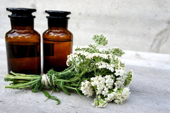 Schafgarbe,  Heilpflanze, Phytotherapie, Tinktur, Achillea millefolium