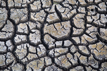 soil cracked up from aridity in hot weather - dry soil