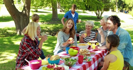 Family having picnic in the park - Powered by Adobe