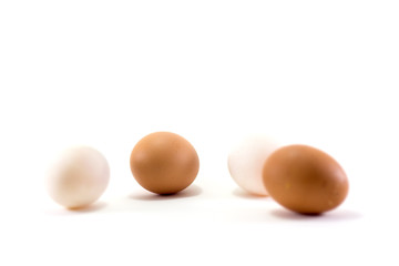 four eggs isolated on white background